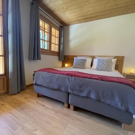 Chalet Alnel Chamonix